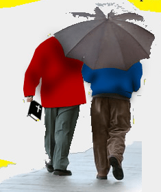 10e5034b243e3c0cbe31228575fa177d-51bfd24a45d43